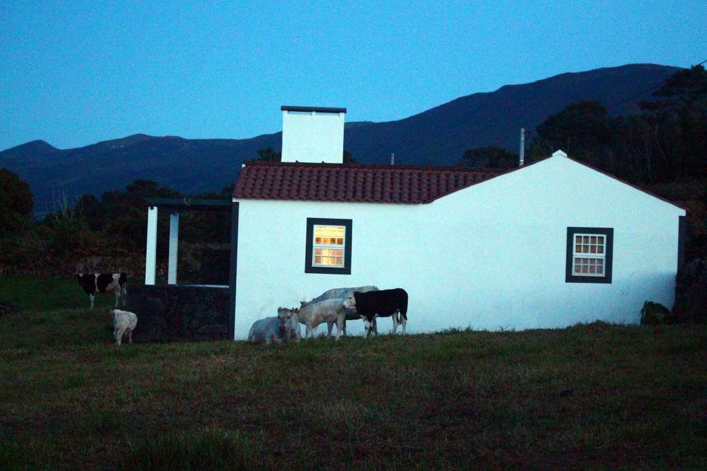 Casa Do Paim Villa São Roque do Pico Exterior foto